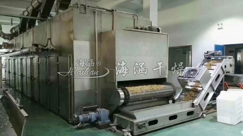 大蒜、辣椒、紅棗專(zhuān)用網(wǎng)帶式干燥機(jī)